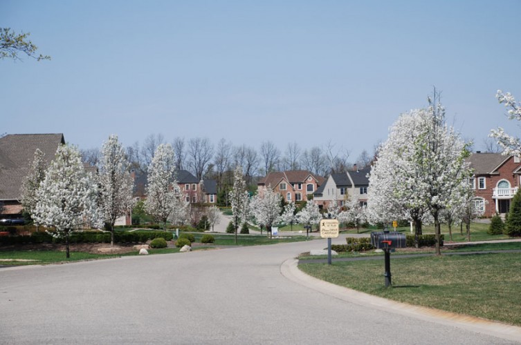 Gallery Walnut Ridge